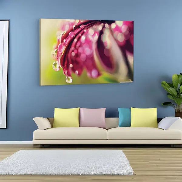 Multicolor_16_X_24_Inch,_Pine_Wood_Framed_Canvas_Paintings_|_For_Home_Decor,_Ready_To_Wall_Hanging,_Premium_Painting_|_For_|_Bedroom,_Living_Room,_Office_Wall_Decoration_|_Wall_Art_Painting,_Ct2515