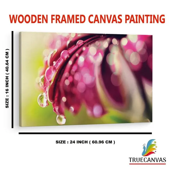 Multicolor_16_X_24_Inch,_Pine_Wood_Framed_Canvas_Paintings_|_For_Home_Decor,_Ready_To_Wall_Hanging,_Premium_Painting_|_For_|_Bedroom,_Living_Room,_Office_Wall_Decoration_|_Wall_Art_Painting,_Ct2515