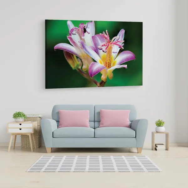 Multicolor_16_X_24_Inch,_Pine_Wood_Framed_Canvas_Paintings_|_For_Home_Decor,_Ready_To_Wall_Hanging,_Premium_Painting_|_For_|_Bedroom,_Living_Room,_Office_Wall_Decoration_|_Wall_Art_Painting,_Ct2516
