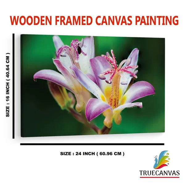 Multicolor_16_X_24_Inch,_Pine_Wood_Framed_Canvas_Paintings_|_For_Home_Decor,_Ready_To_Wall_Hanging,_Premium_Painting_|_For_|_Bedroom,_Living_Room,_Office_Wall_Decoration_|_Wall_Art_Painting,_Ct2516