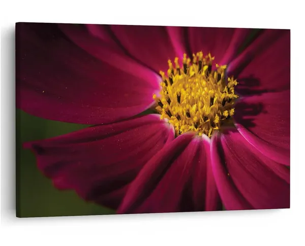 Multicolor_16_X_24_Inch,_Pine_Wood_Framed_Canvas_Paintings_|_For_Home_Decor,_Ready_To_Wall_Hanging,_Premium_Painting_|_For_|_Bedroom,_Living_Room,_Office_Wall_Decoration_|_Wall_Art_Painting,_Ct2517