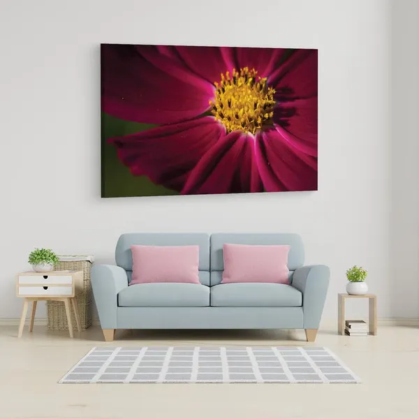 Multicolor_16_X_24_Inch,_Pine_Wood_Framed_Canvas_Paintings_|_For_Home_Decor,_Ready_To_Wall_Hanging,_Premium_Painting_|_For_|_Bedroom,_Living_Room,_Office_Wall_Decoration_|_Wall_Art_Painting,_Ct2517