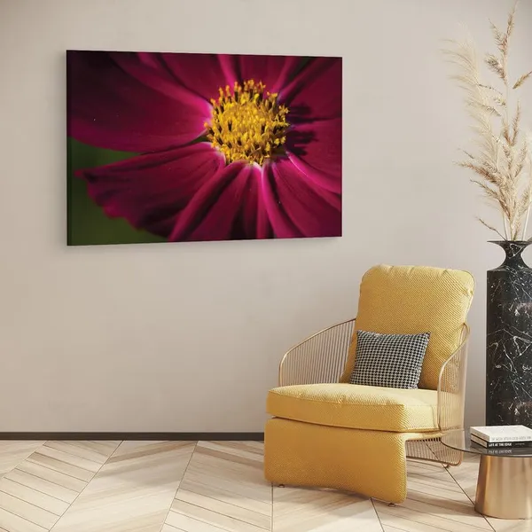 Multicolor_16_X_24_Inch,_Pine_Wood_Framed_Canvas_Paintings_|_For_Home_Decor,_Ready_To_Wall_Hanging,_Premium_Painting_|_For_|_Bedroom,_Living_Room,_Office_Wall_Decoration_|_Wall_Art_Painting,_Ct2517