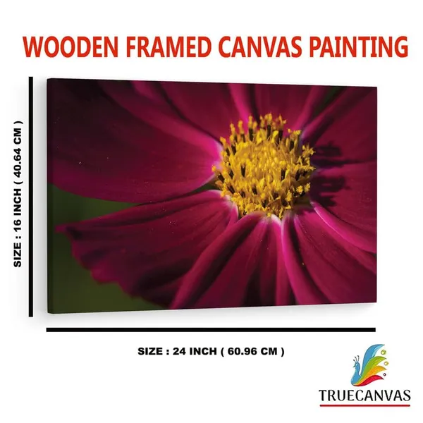 Multicolor_16_X_24_Inch,_Pine_Wood_Framed_Canvas_Paintings_|_For_Home_Decor,_Ready_To_Wall_Hanging,_Premium_Painting_|_For_|_Bedroom,_Living_Room,_Office_Wall_Decoration_|_Wall_Art_Painting,_Ct2517