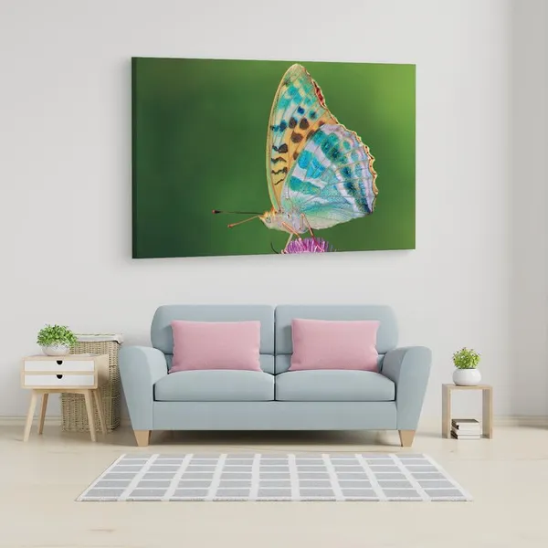 Multicolor_16_X_24_Inch,_Pine_Wood_Framed_Canvas_Paintings_|_For_Home_Decor,_Ready_To_Wall_Hanging,_Premium_Painting_|_For_|_Bedroom,_Living_Room,_Office_Wall_Decoration_|_Wall_Art_Painting,_Ct2518