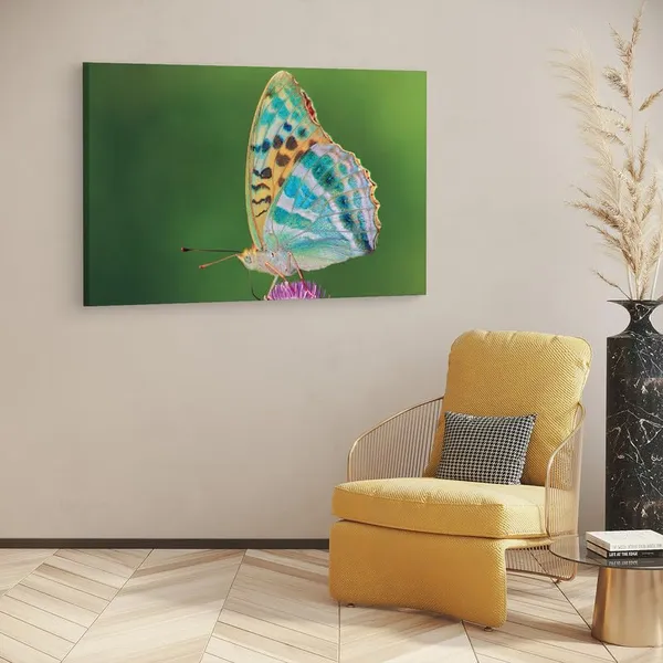 Multicolor_16_X_24_Inch,_Pine_Wood_Framed_Canvas_Paintings_|_For_Home_Decor,_Ready_To_Wall_Hanging,_Premium_Painting_|_For_|_Bedroom,_Living_Room,_Office_Wall_Decoration_|_Wall_Art_Painting,_Ct2518