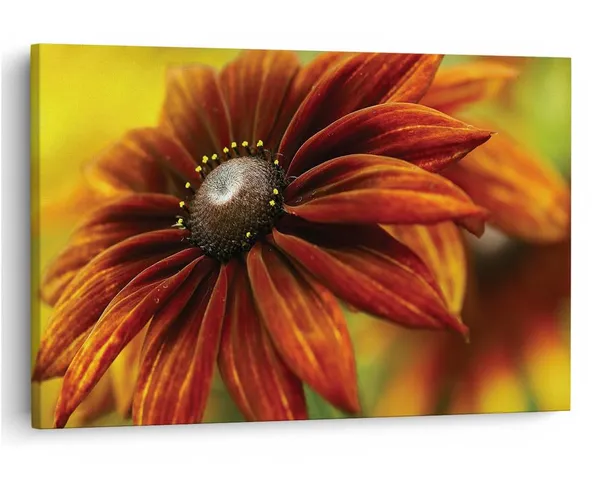 Multicolor_16_X_24_Inch,_Pine_Wood_Framed_Canvas_Paintings_|_For_Home_Decor,_Ready_To_Wall_Hanging,_Premium_Painting_|_For_|_Bedroom,_Living_Room,_Office_Wall_Decoration_|_Wall_Art_Painting,_Ct2519
