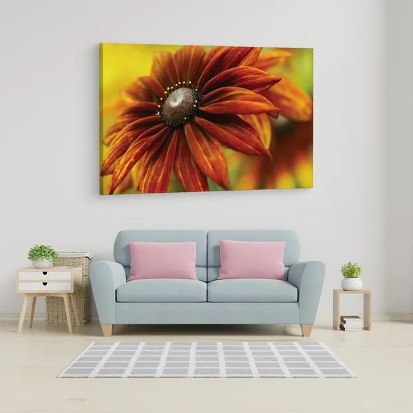 Multicolor_16_X_24_Inch,_Pine_Wood_Framed_Canvas_Paintings_|_For_Home_Decor,_Ready_To_Wall_Hanging,_Premium_Painting_|_For_|_Bedroom,_Living_Room,_Office_Wall_Decoration_|_Wall_Art_Painting,_Ct2519