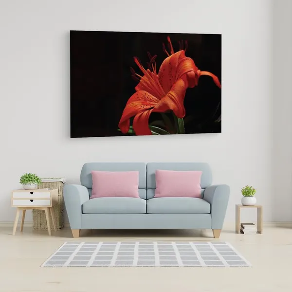 Multicolor_16_X_24_Inch,_Pine_Wood_Framed_Canvas_Paintings_|_For_Home_Decor,_Ready_To_Wall_Hanging,_Premium_Painting_|_For_|_Bedroom,_Living_Room,_Office_Wall_Decoration_|_Wall_Art_Painting,_Ct2520