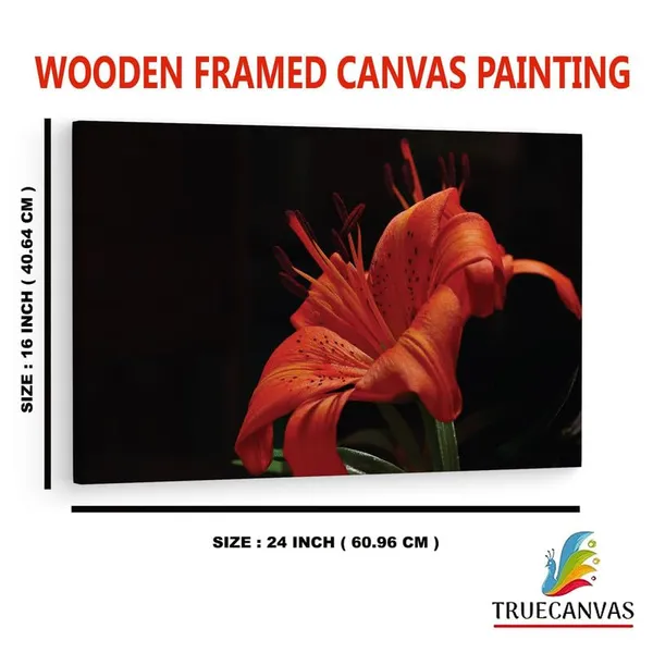 Multicolor_16_X_24_Inch,_Pine_Wood_Framed_Canvas_Paintings_|_For_Home_Decor,_Ready_To_Wall_Hanging,_Premium_Painting_|_For_|_Bedroom,_Living_Room,_Office_Wall_Decoration_|_Wall_Art_Painting,_Ct2520