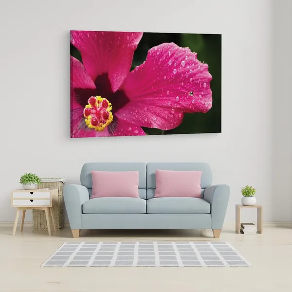 Multicolor_16_X_24_Inch,_Pine_Wood_Framed_Canvas_Paintings_|_For_Home_Decor,_Ready_To_Wall_Hanging,_Premium_Painting_|_For_|_Bedroom,_Living_Room,_Office_Wall_Decoration_|_Wall_Art_Painting,_Ct2521