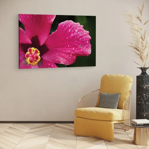 Multicolor_16_X_24_Inch,_Pine_Wood_Framed_Canvas_Paintings_|_For_Home_Decor,_Ready_To_Wall_Hanging,_Premium_Painting_|_For_|_Bedroom,_Living_Room,_Office_Wall_Decoration_|_Wall_Art_Painting,_Ct2521