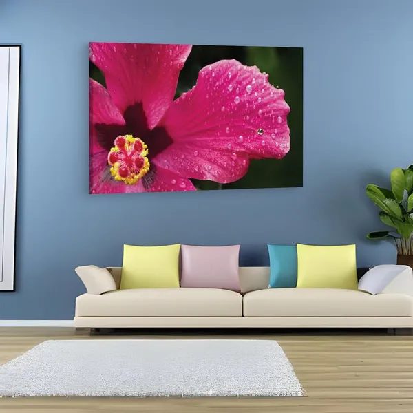 Multicolor_16_X_24_Inch,_Pine_Wood_Framed_Canvas_Paintings_|_For_Home_Decor,_Ready_To_Wall_Hanging,_Premium_Painting_|_For_|_Bedroom,_Living_Room,_Office_Wall_Decoration_|_Wall_Art_Painting,_Ct2521