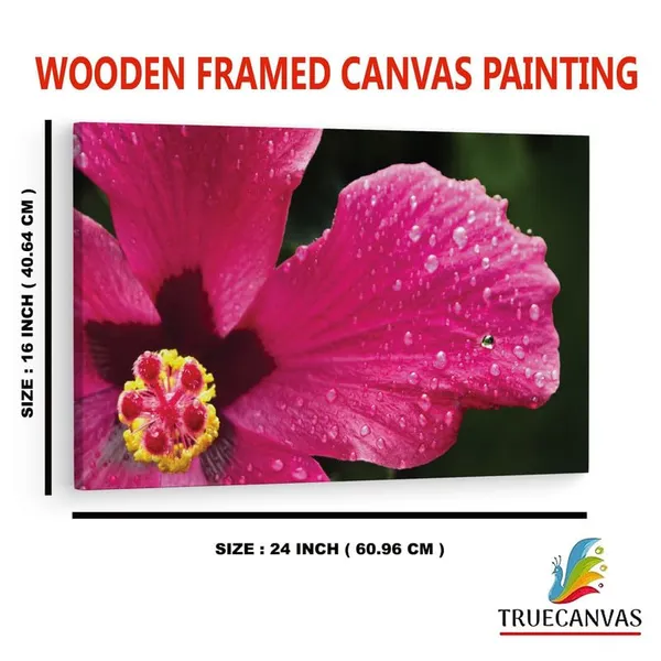 Multicolor_16_X_24_Inch,_Pine_Wood_Framed_Canvas_Paintings_|_For_Home_Decor,_Ready_To_Wall_Hanging,_Premium_Painting_|_For_|_Bedroom,_Living_Room,_Office_Wall_Decoration_|_Wall_Art_Painting,_Ct2521