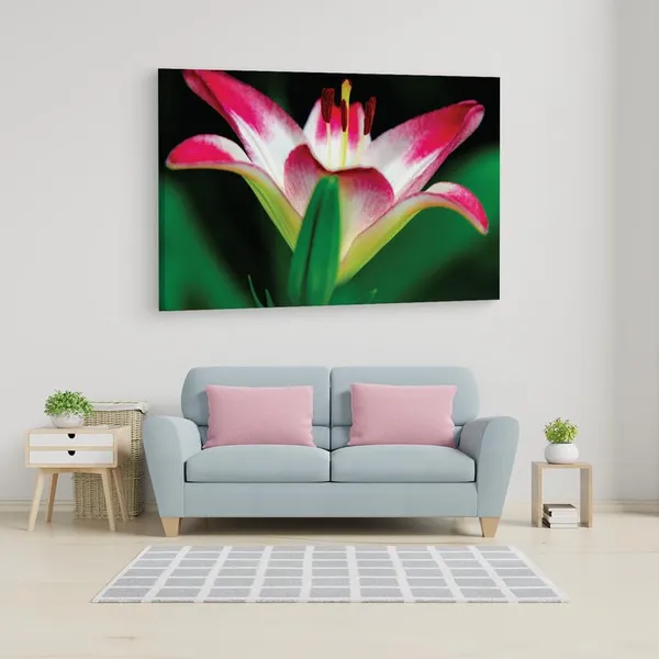 Multicolor_16_X_24_Inch,_Pine_Wood_Framed_Canvas_Paintings_|_For_Home_Decor,_Ready_To_Wall_Hanging,_Premium_Painting_|_For_|_Bedroom,_Living_Room,_Office_Wall_Decoration_|_Wall_Art_Painting,_Ct2522