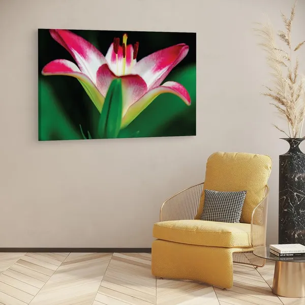 Multicolor_16_X_24_Inch,_Pine_Wood_Framed_Canvas_Paintings_|_For_Home_Decor,_Ready_To_Wall_Hanging,_Premium_Painting_|_For_|_Bedroom,_Living_Room,_Office_Wall_Decoration_|_Wall_Art_Painting,_Ct2522