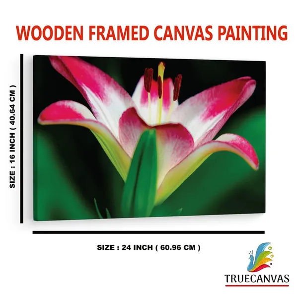 Multicolor_16_X_24_Inch,_Pine_Wood_Framed_Canvas_Paintings_|_For_Home_Decor,_Ready_To_Wall_Hanging,_Premium_Painting_|_For_|_Bedroom,_Living_Room,_Office_Wall_Decoration_|_Wall_Art_Painting,_Ct2522