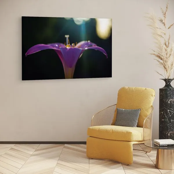 Multicolor_16_X_24_Inch,_Pine_Wood_Framed_Canvas_Paintings_|_For_Home_Decor,_Ready_To_Wall_Hanging,_Premium_Painting_|_For_|_Bedroom,_Living_Room,_Office_Wall_Decoration_|_Wall_Art_Painting,_Ct2523
