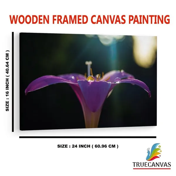 Multicolor_16_X_24_Inch,_Pine_Wood_Framed_Canvas_Paintings_|_For_Home_Decor,_Ready_To_Wall_Hanging,_Premium_Painting_|_For_|_Bedroom,_Living_Room,_Office_Wall_Decoration_|_Wall_Art_Painting,_Ct2523