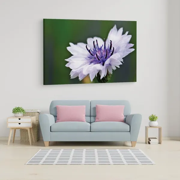 Multicolor_16_X_24_Inch,_Pine_Wood_Framed_Canvas_Paintings_|_For_Home_Decor,_Ready_To_Wall_Hanging,_Premium_Painting_|_For_|_Bedroom,_Living_Room,_Office_Wall_Decoration_|_Wall_Art_Painting,_Ct2524
