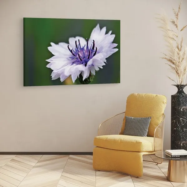 Multicolor_16_X_24_Inch,_Pine_Wood_Framed_Canvas_Paintings_|_For_Home_Decor,_Ready_To_Wall_Hanging,_Premium_Painting_|_For_|_Bedroom,_Living_Room,_Office_Wall_Decoration_|_Wall_Art_Painting,_Ct2524