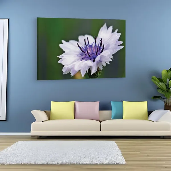 Multicolor_16_X_24_Inch,_Pine_Wood_Framed_Canvas_Paintings_|_For_Home_Decor,_Ready_To_Wall_Hanging,_Premium_Painting_|_For_|_Bedroom,_Living_Room,_Office_Wall_Decoration_|_Wall_Art_Painting,_Ct2524