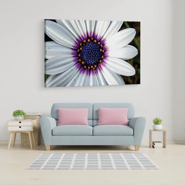 Multicolor_16_X_24_Inch,_Pine_Wood_Framed_Canvas_Paintings_|_For_Home_Decor,_Ready_To_Wall_Hanging,_Premium_Painting_|_For_|_Bedroom,_Living_Room,_Office_Wall_Decoration_|_Wall_Art_Painting,_Ct2525