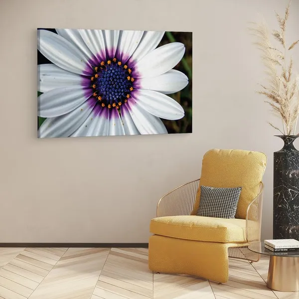 Multicolor_16_X_24_Inch,_Pine_Wood_Framed_Canvas_Paintings_|_For_Home_Decor,_Ready_To_Wall_Hanging,_Premium_Painting_|_For_|_Bedroom,_Living_Room,_Office_Wall_Decoration_|_Wall_Art_Painting,_Ct2525