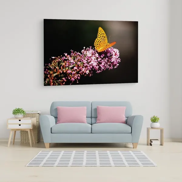 Multicolor_16_X_24_Inch,_Pine_Wood_Framed_Canvas_Paintings_|_For_Home_Decor,_Ready_To_Wall_Hanging,_Premium_Painting_|_For_|_Bedroom,_Living_Room,_Office_Wall_Decoration_|_Wall_Art_Painting,_Ct2526