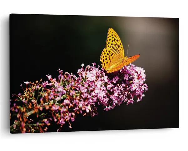 Multicolor_16_X_24_Inch,_Pine_Wood_Framed_Canvas_Paintings_|_For_Home_Decor,_Ready_To_Wall_Hanging,_Premium_Painting_|_For_|_Bedroom,_Living_Room,_Office_Wall_Decoration_|_Wall_Art_Painting,_Ct2526