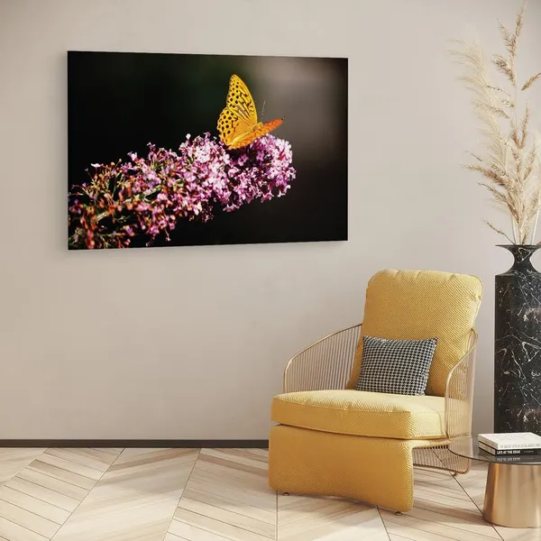 Multicolor_16_X_24_Inch,_Pine_Wood_Framed_Canvas_Paintings_|_For_Home_Decor,_Ready_To_Wall_Hanging,_Premium_Painting_|_For_|_Bedroom,_Living_Room,_Office_Wall_Decoration_|_Wall_Art_Painting,_Ct2526