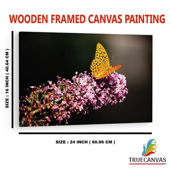 Multicolor_16_X_24_Inch,_Pine_Wood_Framed_Canvas_Paintings_|_For_Home_Decor,_Ready_To_Wall_Hanging,_Premium_Painting_|_For_|_Bedroom,_Living_Room,_Office_Wall_Decoration_|_Wall_Art_Painting,_Ct2526