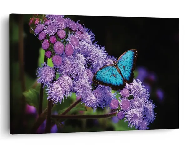 Multicolor_16_X_24_Inch,_Pine_Wood_Framed_Canvas_Paintings_|_For_Home_Decor,_Ready_To_Wall_Hanging,_Premium_Painting_|_For_|_Bedroom,_Living_Room,_Office_Wall_Decoration_|_Wall_Art_Painting,_Ct2527