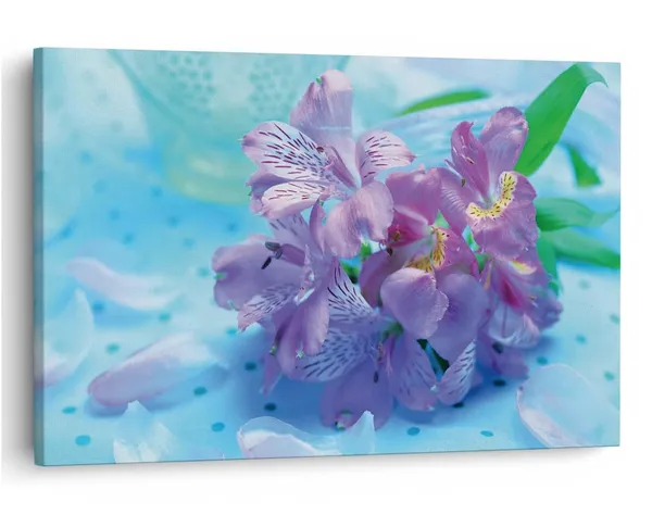 Multicolor_16_X_24_Inch,_Pine_Wood_Framed_Canvas_Paintings_|_For_Home_Decor,_Ready_To_Wall_Hanging,_Premium_Painting_|_For_|_Bedroom,_Living_Room,_Office_Wall_Decoration_|_Wall_Art_Painting,_Ct2528