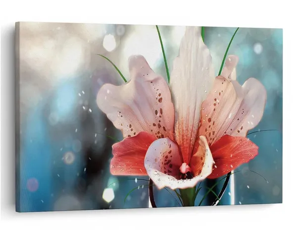 Multicolor_16_X_24_Inch,_Pine_Wood_Framed_Canvas_Paintings_|_For_Home_Decor,_Ready_To_Wall_Hanging,_Premium_Painting_|_For_|_Bedroom,_Living_Room,_Office_Wall_Decoration_|_Wall_Art_Painting,_Ct2530