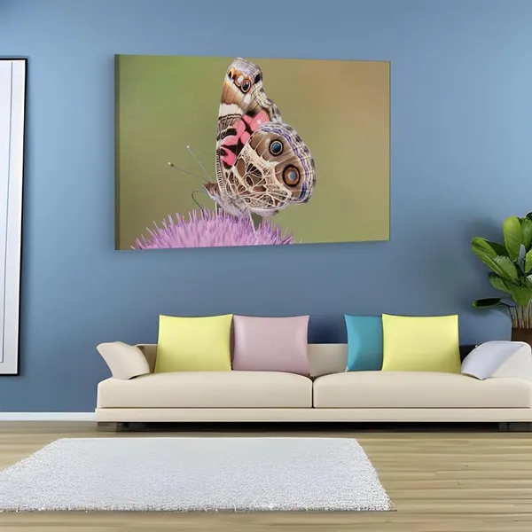 Multicolor_16_X_24_Inch,_Pine_Wood_Framed_Canvas_Paintings_|_For_Home_Decor,_Ready_To_Wall_Hanging,_Premium_Painting_|_For_|_Bedroom,_Living_Room,_Office_Wall_Decoration_|_Wall_Art_Painting,_Ct2531