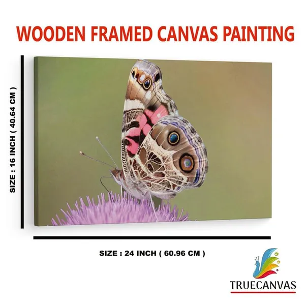 Multicolor_16_X_24_Inch,_Pine_Wood_Framed_Canvas_Paintings_|_For_Home_Decor,_Ready_To_Wall_Hanging,_Premium_Painting_|_For_|_Bedroom,_Living_Room,_Office_Wall_Decoration_|_Wall_Art_Painting,_Ct2531