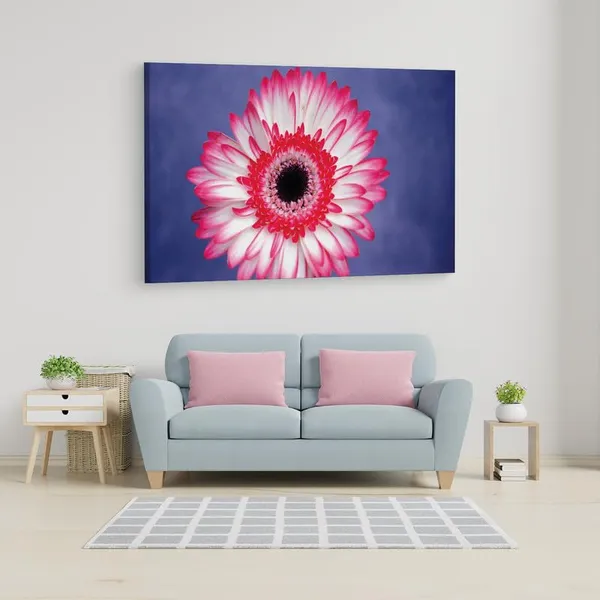Multicolor_16_X_24_Inch,_Pine_Wood_Framed_Canvas_Paintings_|_For_Home_Decor,_Ready_To_Wall_Hanging,_Premium_Painting_|_For_|_Bedroom,_Living_Room,_Office_Wall_Decoration_|_Wall_Art_Painting,_Ct2533