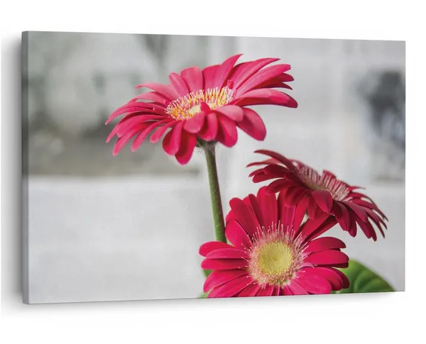 Multicolor_16_X_24_Inch,_Pine_Wood_Framed_Canvas_Paintings_|_For_Home_Decor,_Ready_To_Wall_Hanging,_Premium_Painting_|_For_|_Bedroom,_Living_Room,_Office_Wall_Decoration_|_Wall_Art_Painting,_Ct2535