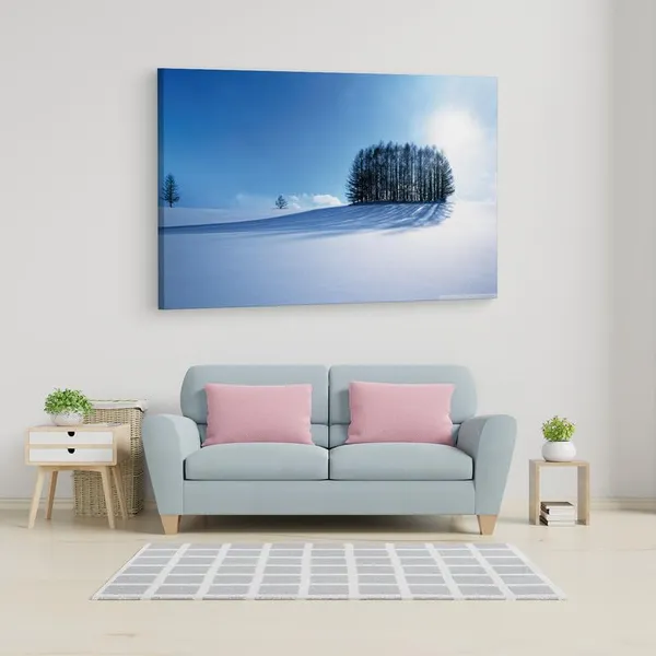 Multicolor_16_X_24_Inch,_Pine_Wood_Framed_Canvas_Paintings_|_For_Home_Decor,_Ready_To_Wall_Hanging,_Premium_Painting_|_For_|_Bedroom,_Living_Room,_Office_Wall_Decoration_|_Wall_Art_Painting,_Ct2540