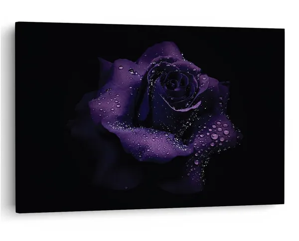 Multicolor_16_X_24_Inch,_Pine_Wood_Framed_Canvas_Paintings_|_For_Home_Decor,_Ready_To_Wall_Hanging,_Premium_Painting_|_For_|_Bedroom,_Living_Room,_Office_Wall_Decoration_|_Wall_Art_Painting,_Ct2541
