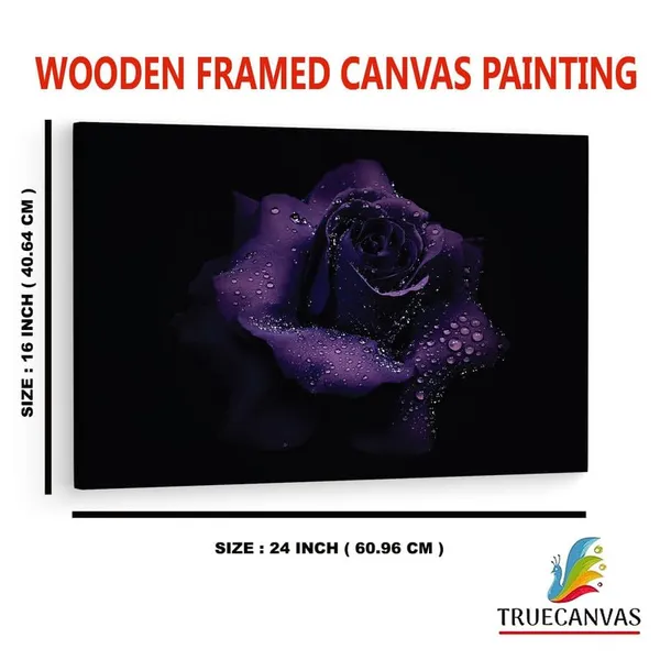 Multicolor_16_X_24_Inch,_Pine_Wood_Framed_Canvas_Paintings_|_For_Home_Decor,_Ready_To_Wall_Hanging,_Premium_Painting_|_For_|_Bedroom,_Living_Room,_Office_Wall_Decoration_|_Wall_Art_Painting,_Ct2541