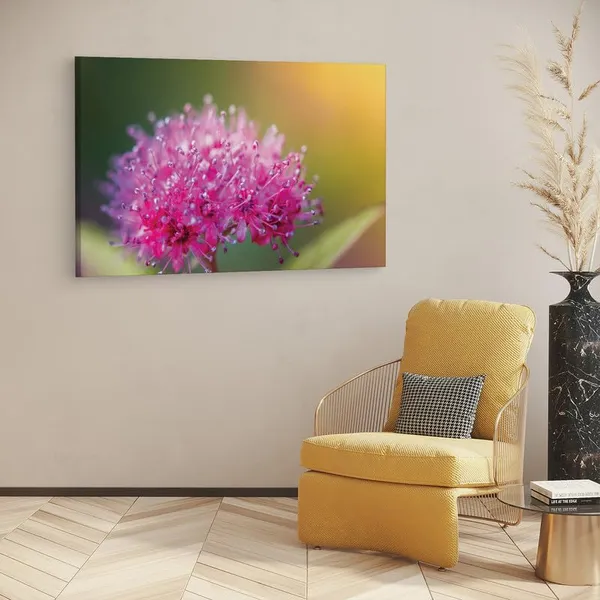 Multicolor_16_X_24_Inch,_Pine_Wood_Framed_Canvas_Paintings_|_For_Home_Decor,_Ready_To_Wall_Hanging,_Premium_Painting_|_For_|_Bedroom,_Living_Room,_Office_Wall_Decoration_|_Wall_Art_Painting,_Ct2542