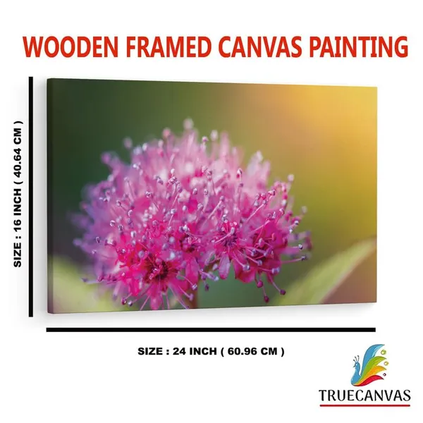 Multicolor_16_X_24_Inch,_Pine_Wood_Framed_Canvas_Paintings_|_For_Home_Decor,_Ready_To_Wall_Hanging,_Premium_Painting_|_For_|_Bedroom,_Living_Room,_Office_Wall_Decoration_|_Wall_Art_Painting,_Ct2542