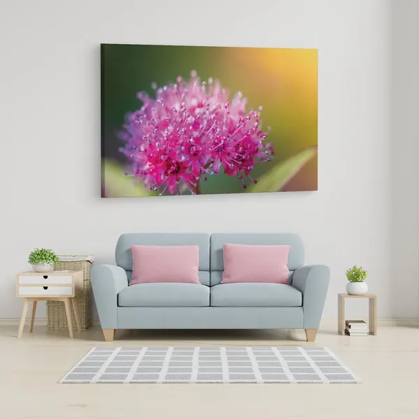 Multicolor_16_X_24_Inch,_Pine_Wood_Framed_Canvas_Paintings_|_For_Home_Decor,_Ready_To_Wall_Hanging,_Premium_Painting_|_For_|_Bedroom,_Living_Room,_Office_Wall_Decoration_|_Wall_Art_Painting,_Ct2542