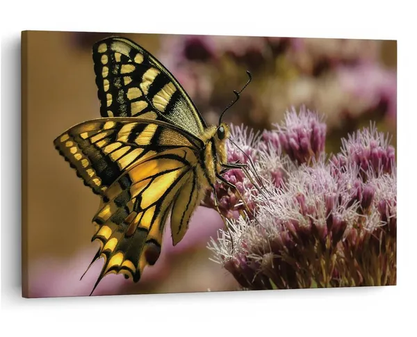 Multicolor_16_X_24_Inch,_Pine_Wood_Framed_Canvas_Paintings_|_For_Home_Decor,_Ready_To_Wall_Hanging,_Premium_Painting_|_For_|_Bedroom,_Living_Room,_Office_Wall_Decoration_|_Wall_Art_Painting,_Ct2545