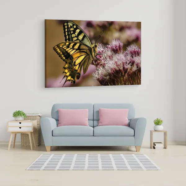 Multicolor_16_X_24_Inch,_Pine_Wood_Framed_Canvas_Paintings_|_For_Home_Decor,_Ready_To_Wall_Hanging,_Premium_Painting_|_For_|_Bedroom,_Living_Room,_Office_Wall_Decoration_|_Wall_Art_Painting,_Ct2545