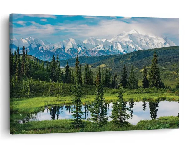 Multicolor_16_X_24_Inch,_Pine_Wood_Framed_Canvas_Paintings_|_For_Home_Decor,_Ready_To_Wall_Hanging,_Premium_Painting_|_For_|_Bedroom,_Living_Room,_Office_Wall_Decoration_|_Wall_Art_Painting,_Ct2559