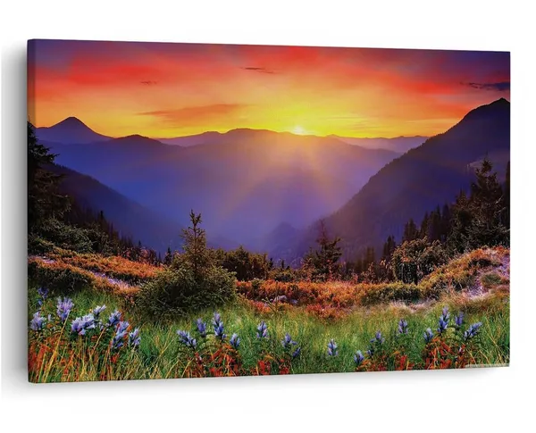 Multicolor_16_X_24_Inch,_Pine_Wood_Framed_Canvas_Paintings_|_For_Home_Decor,_Ready_To_Wall_Hanging,_Premium_Painting_|_For_|_Bedroom,_Living_Room,_Office_Wall_Decoration_|_Wall_Art_Painting,_Ct2564