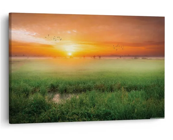 Multicolor_16_X_24_Inch,_Pine_Wood_Framed_Canvas_Paintings_|_For_Home_Decor,_Ready_To_Wall_Hanging,_Premium_Painting_|_For_|_Bedroom,_Living_Room,_Office_Wall_Decoration_|_Wall_Art_Painting,_Ct2566